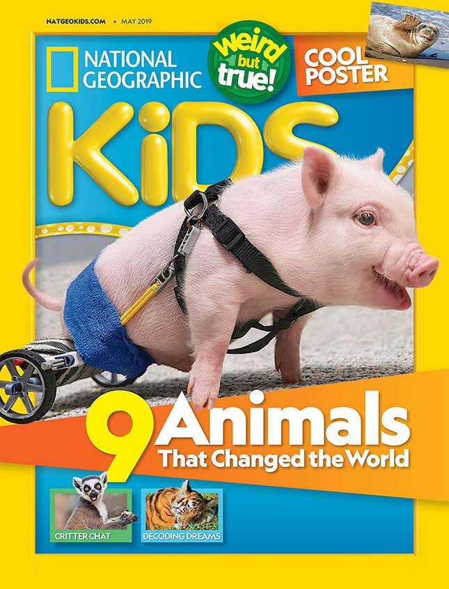 Image for article titled 8 Magazines Kids Will Love