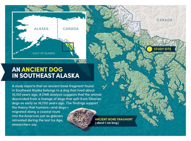 Un mapa que muestra dónde fue encontrado el hueso.