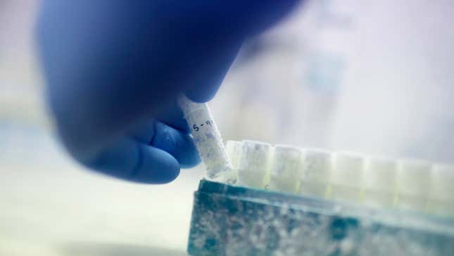 Another Fertility Doctor Allegedly Used His Own Sperm to Impregnate 11 Women Without Their Knowledge