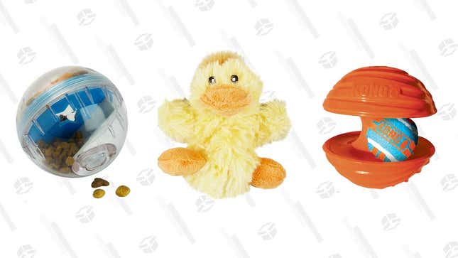 Toy Flash Sale | Chewy