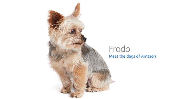 Image for article titled Amazon's Error Dogs, Ranked