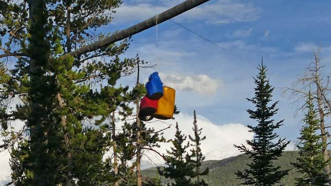 Image for article titled National Forest Service Recommends Campers Tie Up Their Food To Avoid Attracting Other Visitors