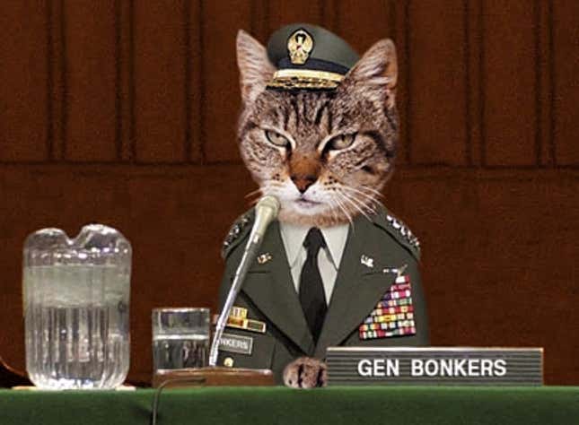 Image for article titled War On String May Be Unwinnable, Says Cat General