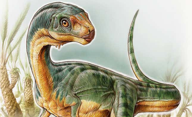Artist’s impression of Chilesaurus diegosuarezi.