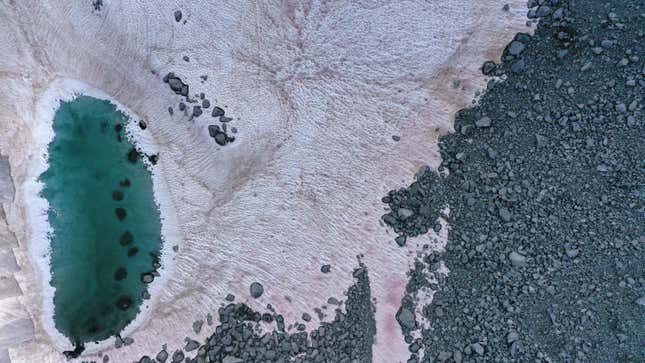 Una fotografía aérea tomada el 3 de julio de 2020, sobre el glaciar Presena cerca de Pellizzano, muestra nieve de color rosa.