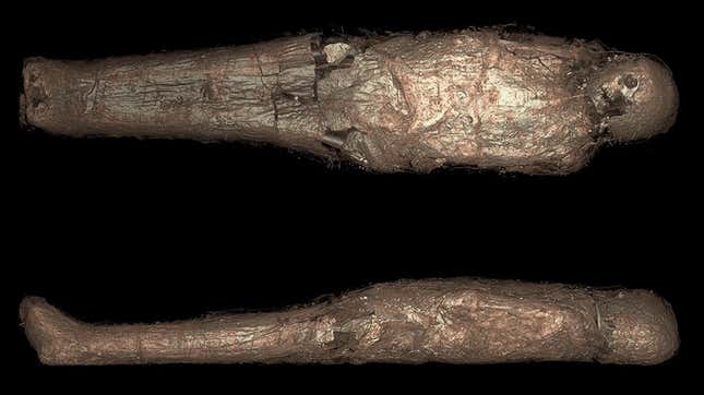 3D-rendered CT scans of the mummy.