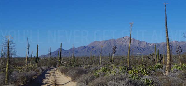 Image for article titled When Your Free Mexican Vacation Is A 16-Hour Hellride