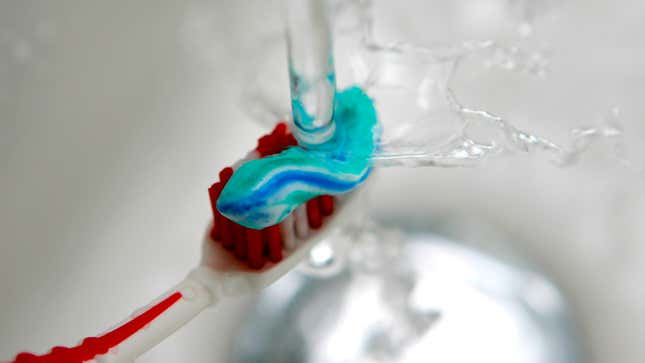 Image for article titled Toothbrushes Might Not Be Covered in Poo After All