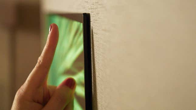 Image: Alex Cranz/Gizmodo