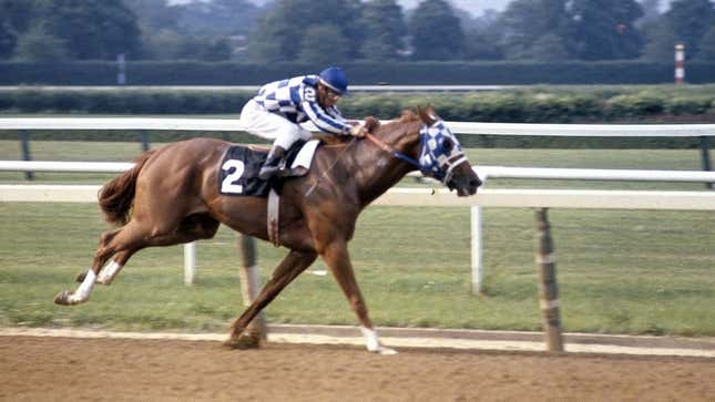 Image for article titled Greatest Thoroughbred Horses Of All Time