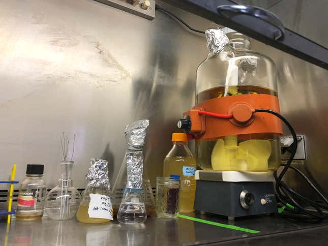 A vat of DNA growth medium in Prophase Labs. Image: Kristen V. Brown
