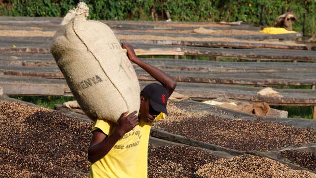 Image for article titled Impoverished Kenyan Bean Picker Can’t Wait To See What Starbucks Has To Say About Racial Sensitivity