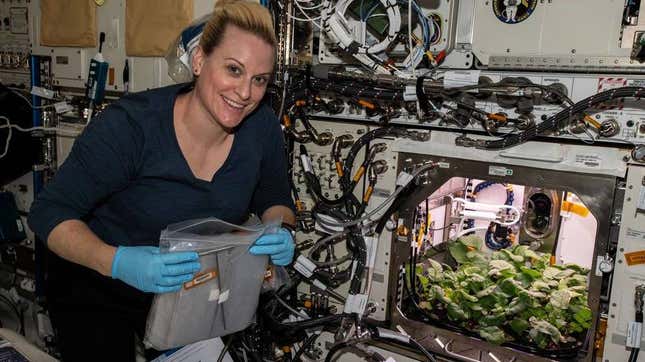  NASA astronaut and Expedition 64 Flight Engineer Kate Rubins checks out radish plants growing for the Plant Habitat-02 experiment, which aims to optimize plant growth in space and evaluate nutrition and taste of the plants.