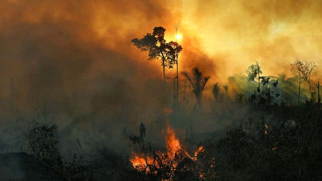 Smoke rises from an illegally lit fire in Amazon rainforest reserve, south of Novo Progresso in Para state, Brazil, on August 15, 2020. 
