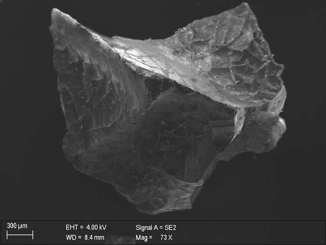 A fragment of the vitrified brain.