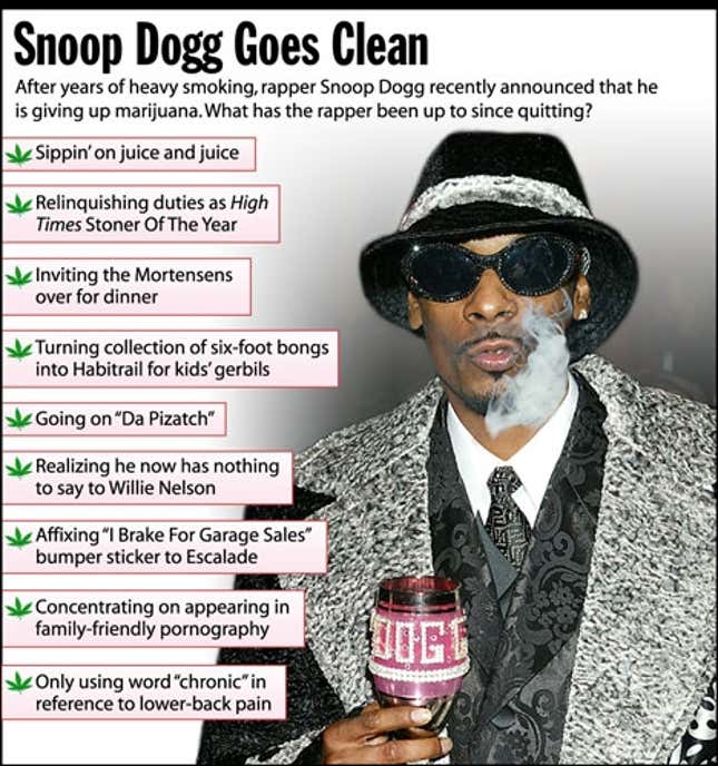 After years of heavy smoking, rapper Snoop Dogg recently announced that he is giving up marijuana. What has the rapper been up to since quitting?