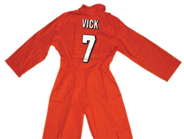 Image for article titled NFL Reports Strong Sales Of Michael Vick&#39;s 2008 Jersey