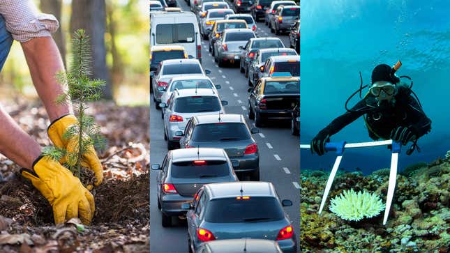 Image for article titled Report: Doing Your Part To Stop Climate Change Now Requires Planting 30,000 New Trees, Getting 40,000 Cars Off The Road, Reviving 20 Square Miles Of Coral Reef