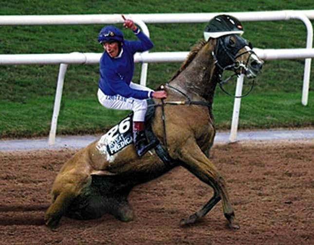 Image for article titled Inspirational Disabled Horse Crosses Preakness Finish Line After 11 Hours