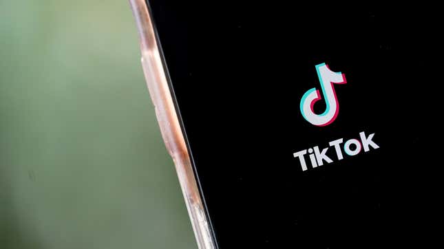 Image for article titled TikTok Plans to Take Trump&#39;s Ass to Court Over Ban: Report