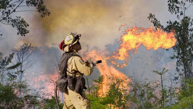 Image for article titled Brazilian Government Equips Firefighters With Flamethrowers To Combat Massive Amazon Rainforest