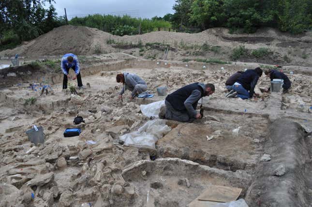 Imagen para el artículo titulado Los científicos descubren una estructura de la edad de hielo hecha de huesos de 60 mamuts