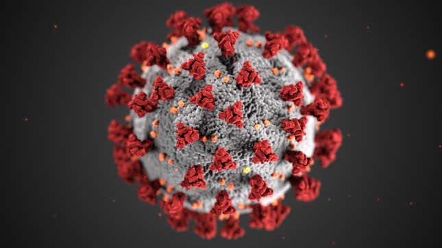 Imagen para el artículo titulado Un nuevo coronavirus similar al causante de la pandemia confirma que Covid-19 no salió de ningún laboratorio