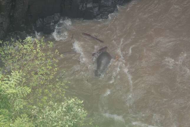 Imagen para el artículo titulado Seis elefantes mueren al caer por una cascada mientras trataban de ayudarse unos a otros