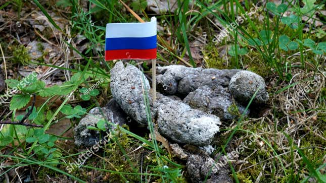 Image for article titled Russia Blocks Shutterstock Website Over Photos of Russian Flag in Dogshit