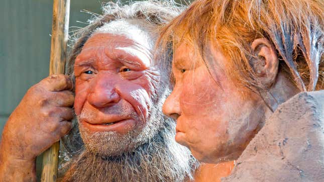 Reconstructions of a Neanderthal man and woman. 