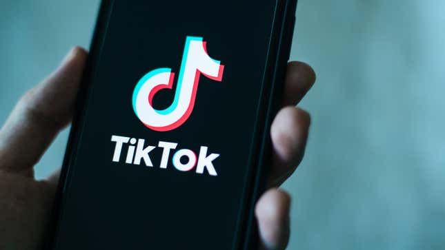 Image for article titled How to Restrict Your Kid&#39;s TikTok Access