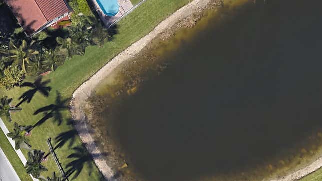 Image for article titled Body of Man Who Went Missing in 1997 Discovered in Pond on Google Maps
