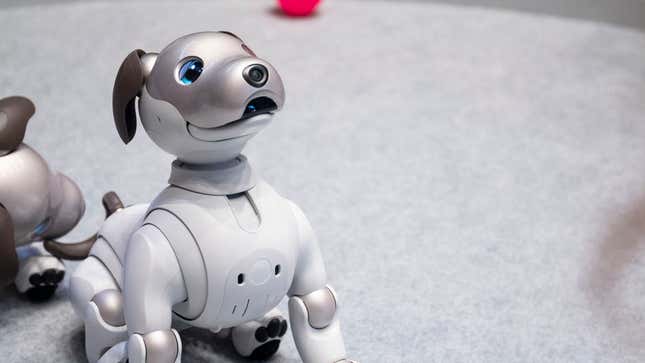Yes that is a camera in Aibo’s nose.