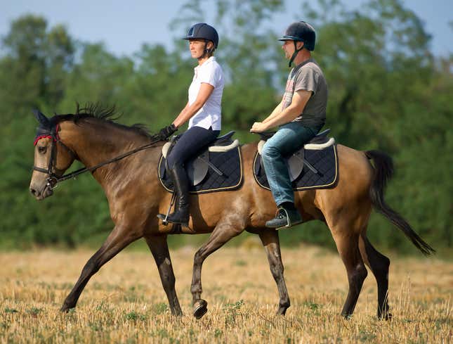 Calumet Farms Unveils New Tandem Horse For Couples Riding