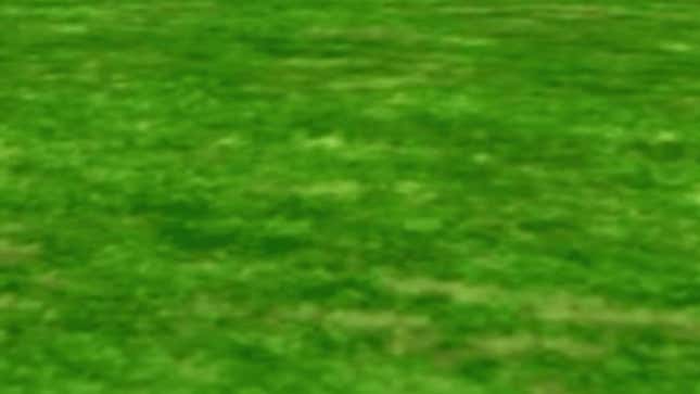 Image for article titled 10 Clumps Of Grass In Video Games