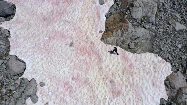 Una fotografía aérea muestra a alguien caminando sobre la nieve rosa sobre los Alpes italianos el 3 de julio de 2020.
