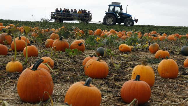 Image for article titled The Pumpkin Spice Onslaught Begins Now, Gird Your Loins