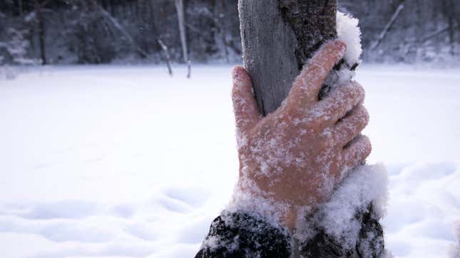 a hand in the snow