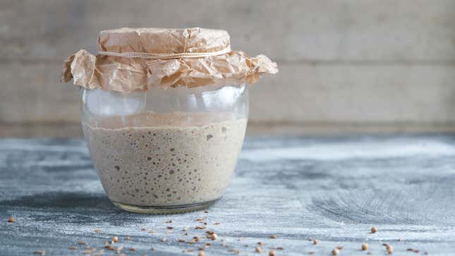 Image for article titled Scientists Want to Know About Your Sourdough Starter