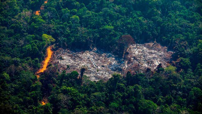 This photo shows the Amazon burning back in August 2019.