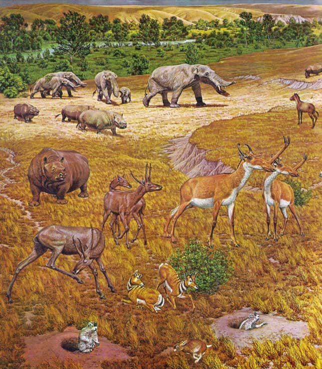 Artist’s interpretation of Texas wildlife some 11 million to 12 million years ago.