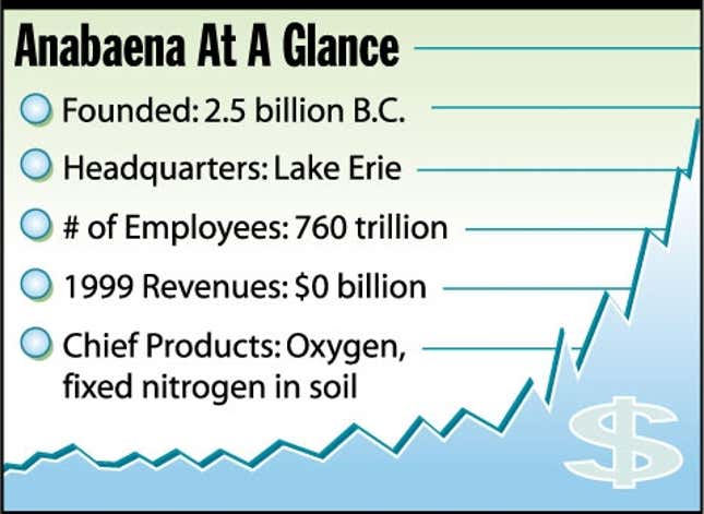 Image for article titled Species Of Blue-Green Algae Announces IPO