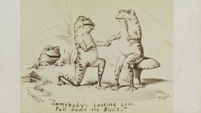 Image for article titled &#39;World&#39;s Loneliest Frog&#39; Has a Girlfriend Now, Is Boning