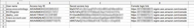 Image for article titled Amazon Engineer Leaked Private Encryption Keys. Outside Analysts Discovered Them in Minutes