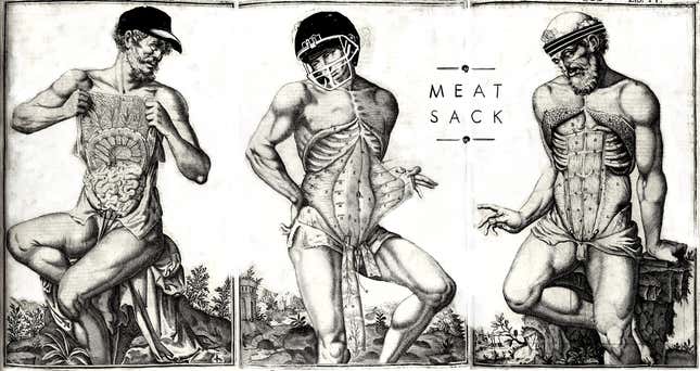 Image: Jim Cooke/GMG, source: Tabulae anatomicae LXXIIX, by Giulio Cesare Casseri.