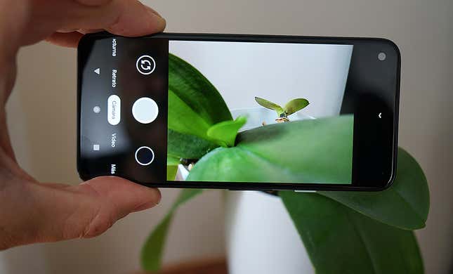 Imagen para el artículo titulado El Google Pixel 4a es la proporción áurea de los móviles Android a un precio muy razonable