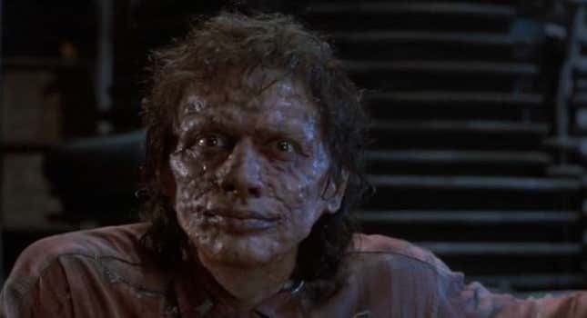 The Fly
