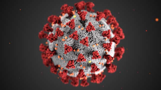An illustration of a coronavirus. One of these viruses, SARS-CoV-2, causes covid-19.