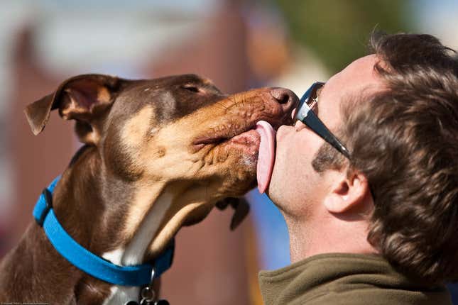 Imagen para el artículo titulado Le amputan parcialmente los brazos después de que su perro le lamiera las heridas