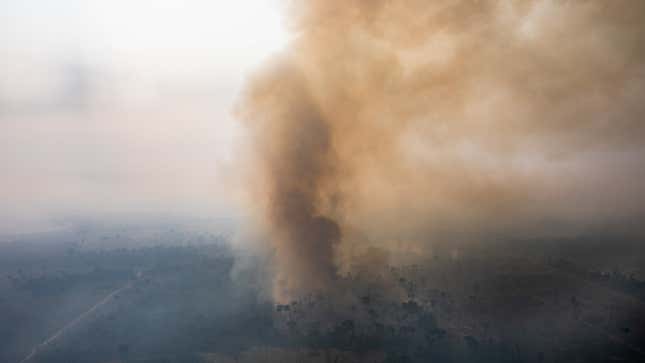 Image for article titled Fewer Fires Burned the Amazon in September, But Deforestation Continues